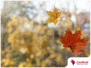 Ensure Good Indoor Humidity Levels Reduce Condensation