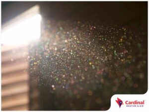 Indoor Air Quality and Dust